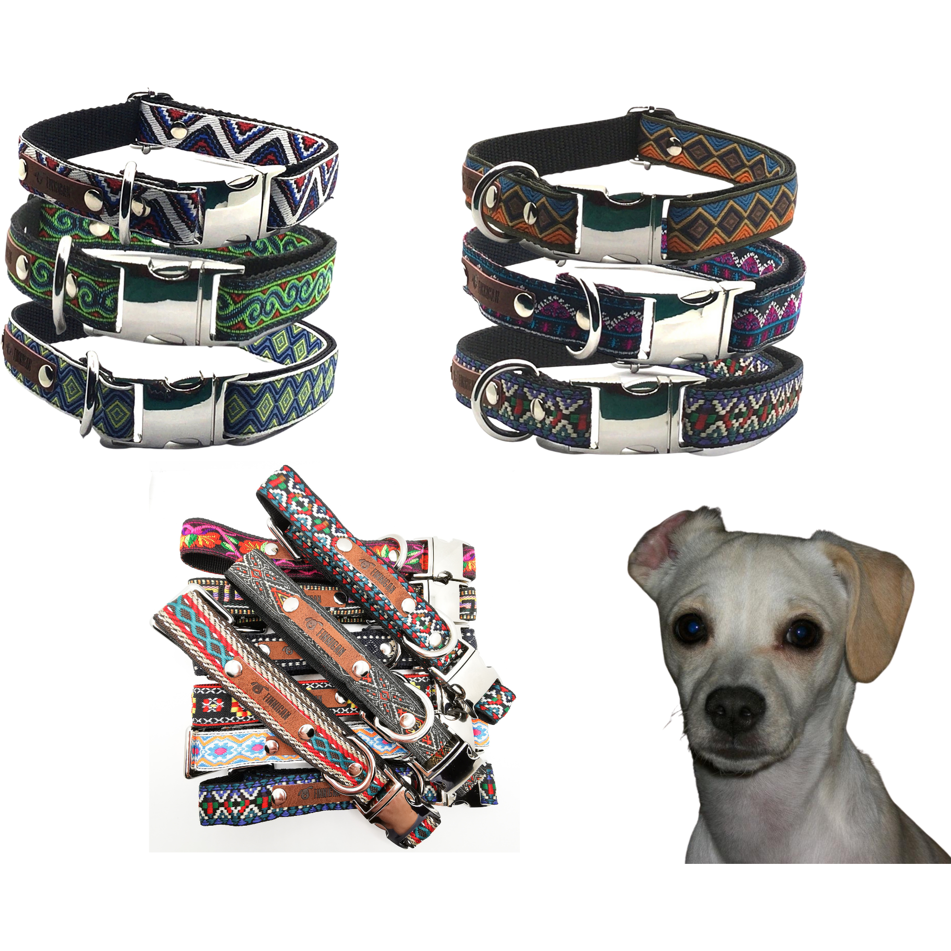 Finnigan Designer Dog Collar  Medium